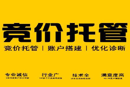 百度SEM代运营案例：如何通过精准投放提升广告效果